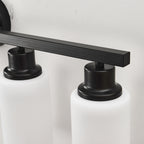 Matte Black wall light — product view